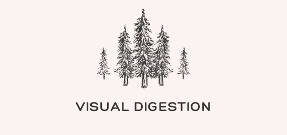 Visual Digestion